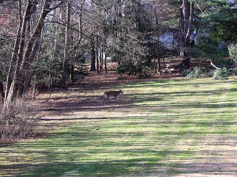 Pascack Rd — Photo 58