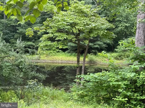 W Hoover Rd, Reva, VA 22735