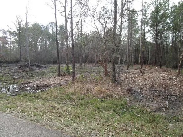Rhonda Rd, Pearl River, LA 70452