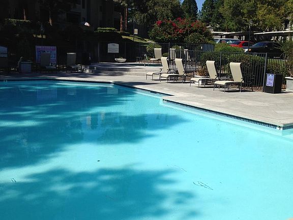 Main Pool