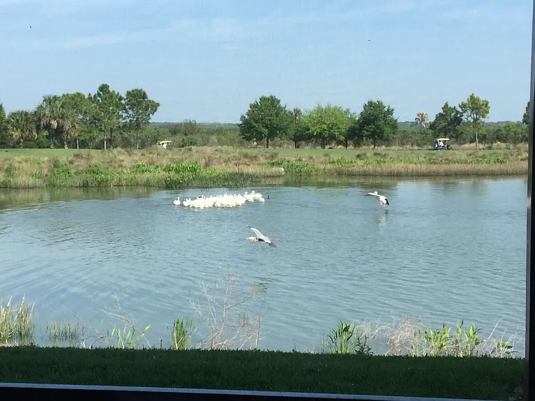 7005 River Hammock Dr #104 — Photo 15