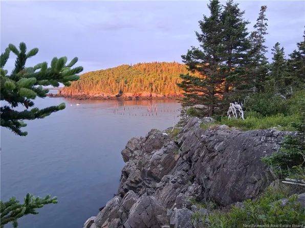 244 Fundy Dr, Campobello Island, NB E5E 1X2