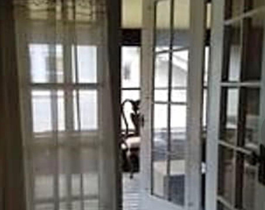 2nd image of 2391 Parkview Pl Floor 2