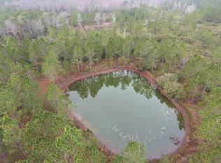 Tbd Sw Van Buren Rd, Mayo, FL 32066