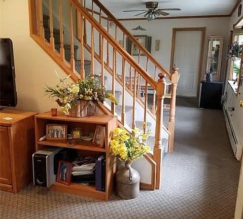 5th image of 179 Brittle Ln