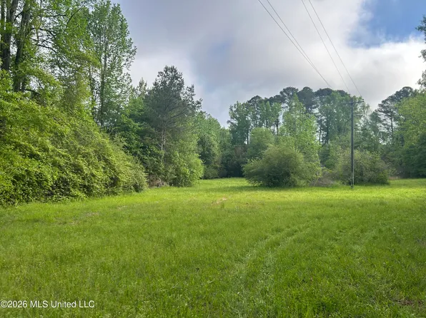 0 Hooper Mill Creek Rd #1, Philadelphia, MS 39350