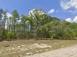 10838 N OCEAN DRIVE LOT 10, CITRUS SPRINGS, FL 34434