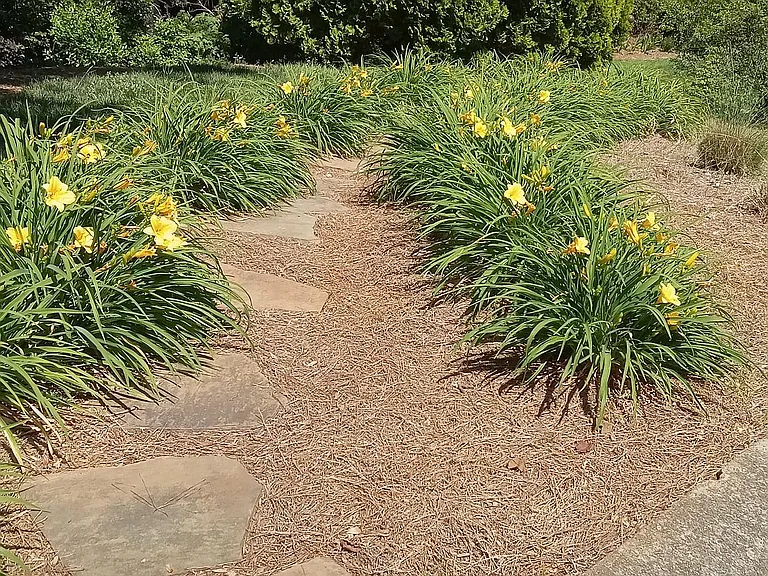stone steps from mailboxes