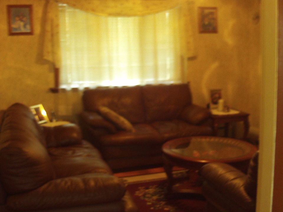 Living room,crank out windows