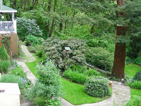 side yard to south