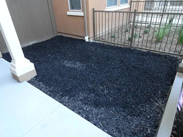 1812 Cyan Ln — Photo 36
