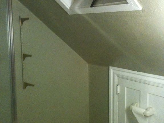 Skylight in bathroom w Cubby