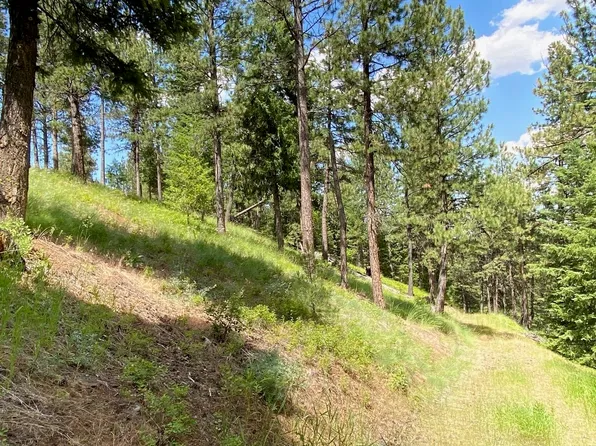 Sangster Rd, Clarkston, WA 99403