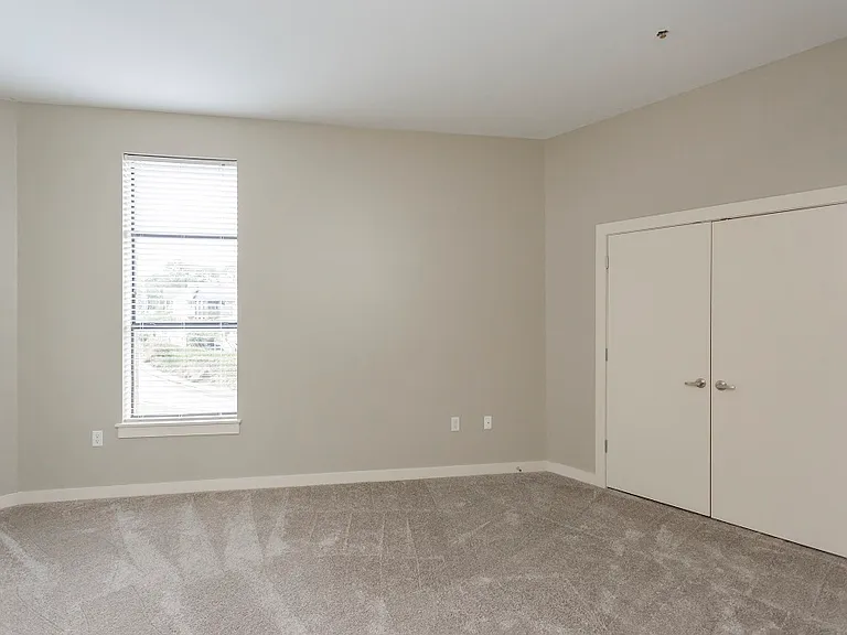 Bedroom and Closet