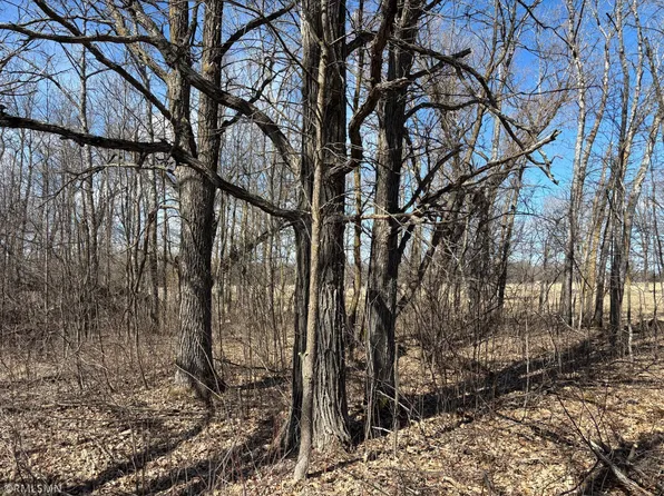 Highway 169, Palisade, MN 56469