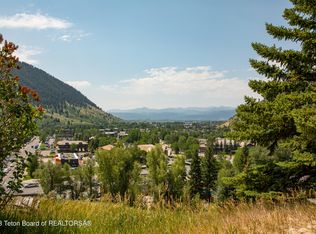 1090 Bluffs Dr, Jackson, WY 83001