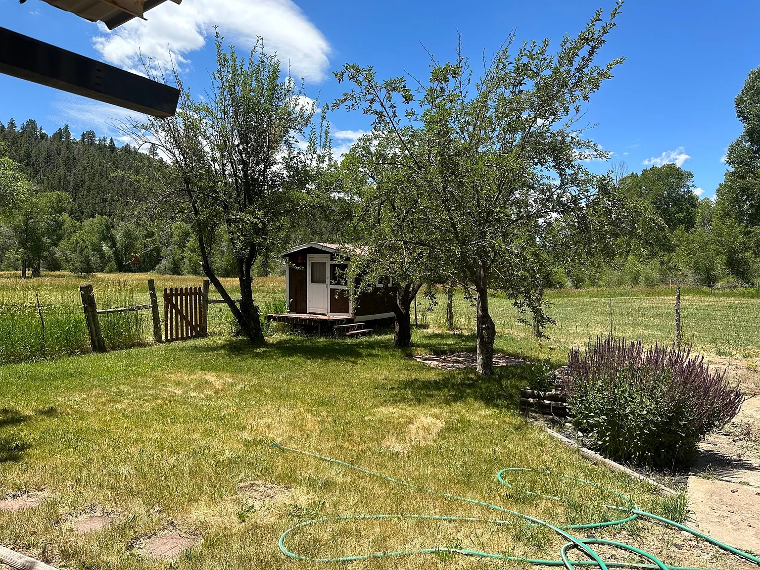 3 bed, 1300 sqft, $1,950 — Photo 4