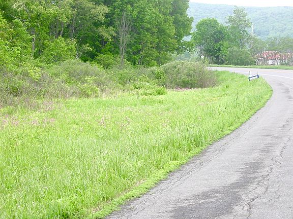 2nd image of 4013 State Highway 8