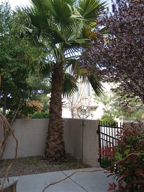 2nd image of 9580 Belle Esprit St