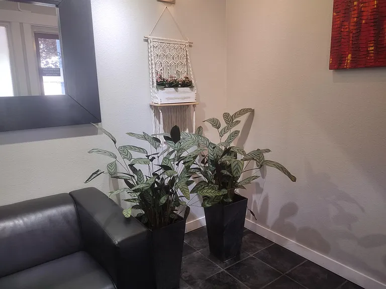 Winslow Lobby Plants