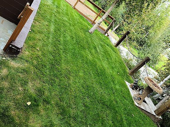 4th image of 5103 Palo Verde Ave