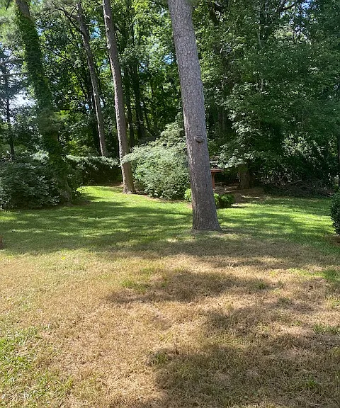 4034 Cheoah Dr — Photo 7
