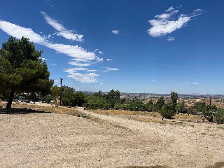Buena Vista St — Photo 10