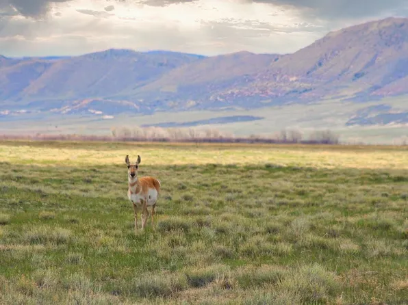 Wild Horse Rd Lot 198, Laramie, WY 82070