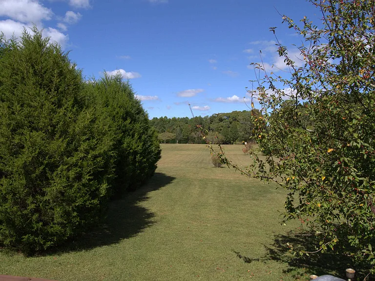 Large Yard