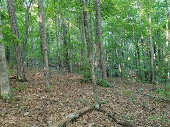 4 Martin Ln, Palmer, TN 37365
