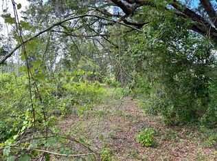 168 Street, Mc Alpin, FL 32062