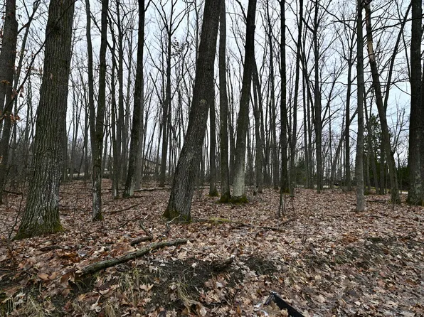 61 Summit Rd #62, Roscommon, MI 48653