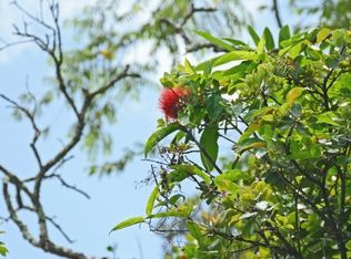 15-2782 S Moi St, Pahoa, HI 96778