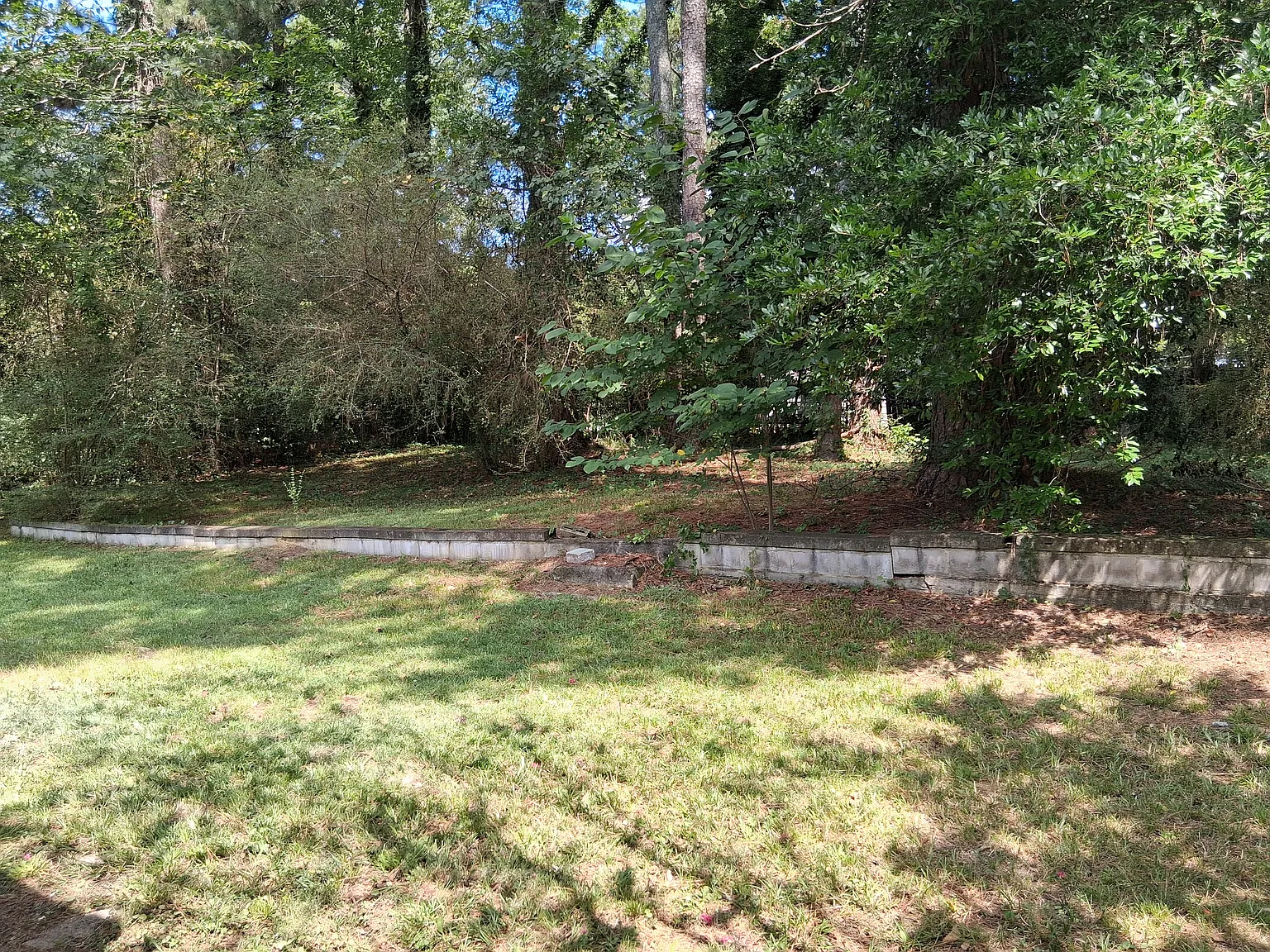 3 bed, 1.5 bath, 1197 sqft, $1,295 — Photo 2