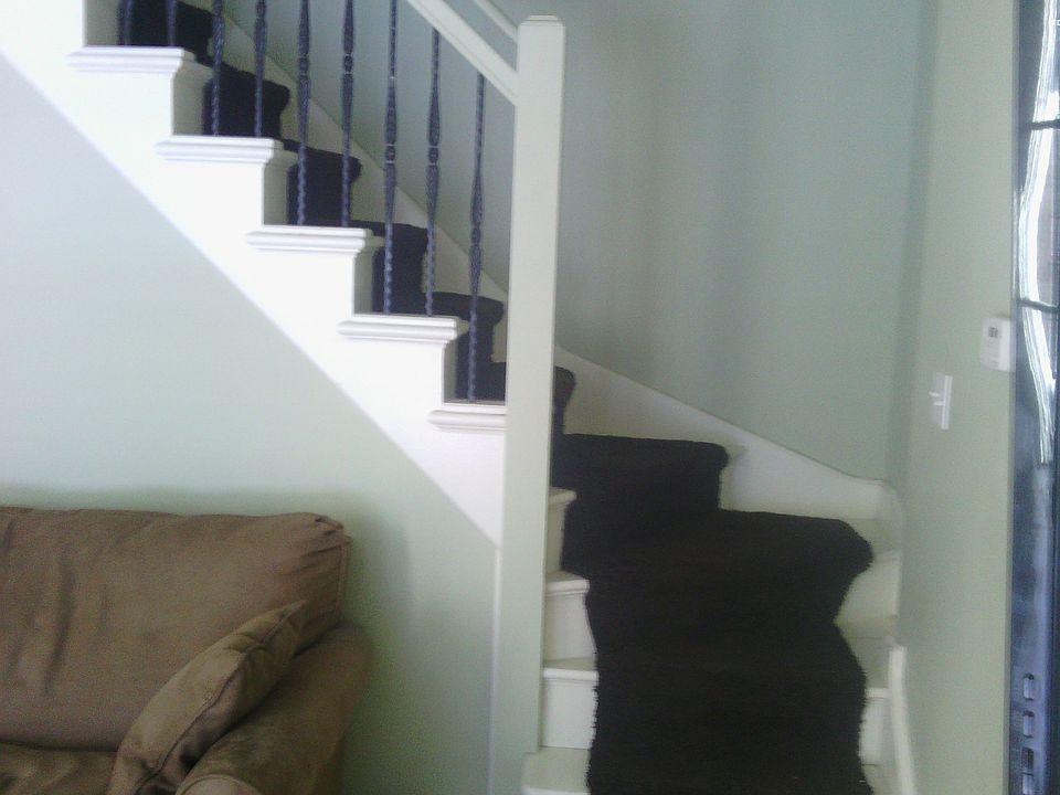 1st image of 921 N Lasalle St APT 5