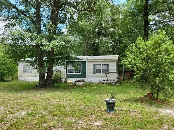 21315 S Carl Brown Rd, Sanderson, FL 32087