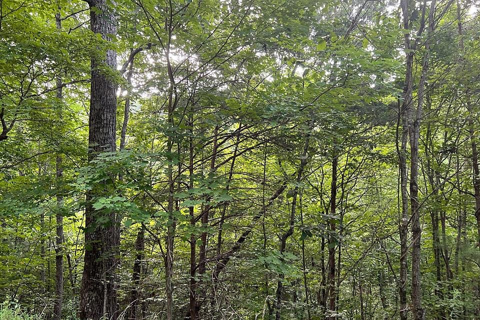 1st image of LOT 13 The Preserve