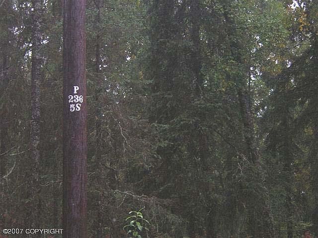 1st image of 0 W Petersville Rd