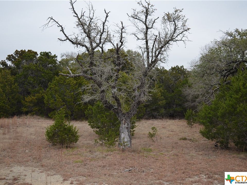 2nd image of Agave Ct