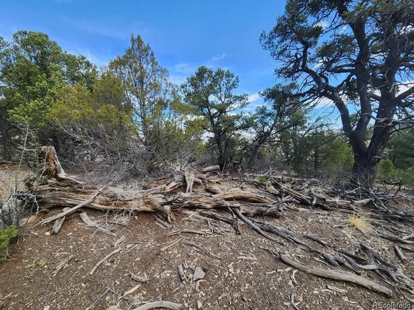 TR-47 35th Trail, Cotopaxi, CO 81223