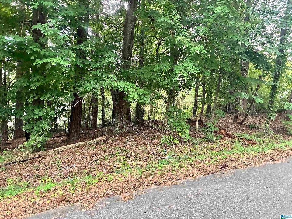 1st image of 316 Warrior River Highland Rd