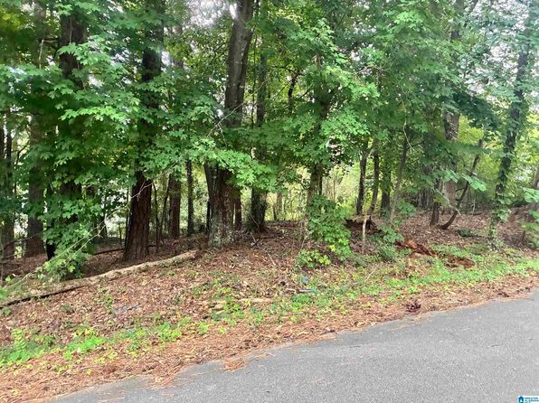 316 Warrior River Highland Rd