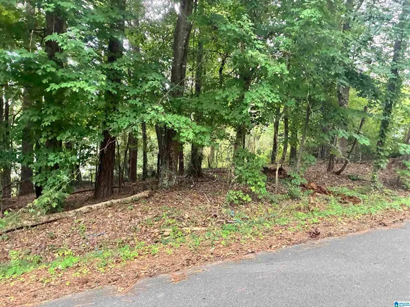 316 Warrior River Highland Rd, Adger, AL 35006