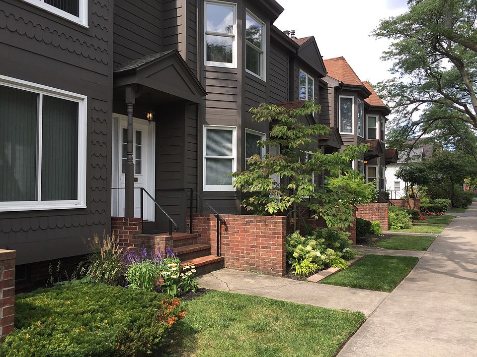 Pretty tree-line street