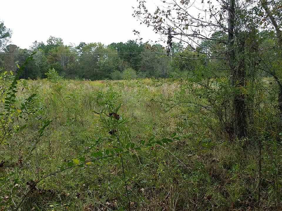 38 Phillips Dr Ragland AL Zillow Apartments for Rent in Ragland