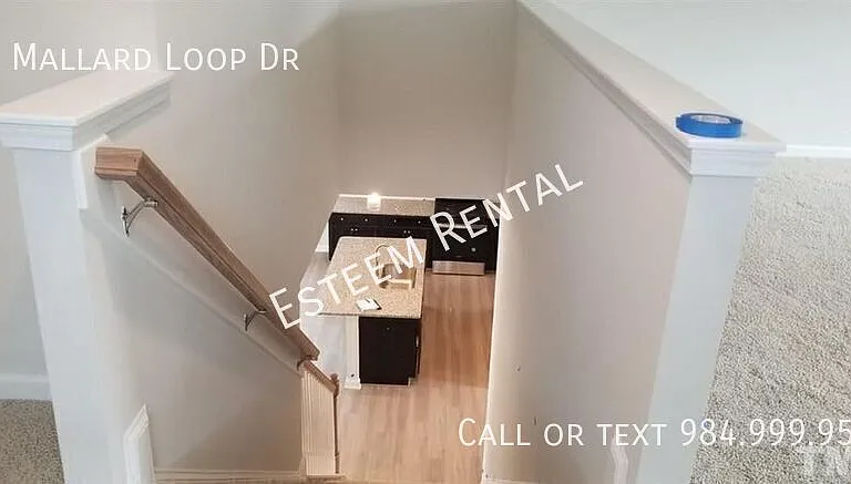 69 Mallard Loop Dr — Photo 9
