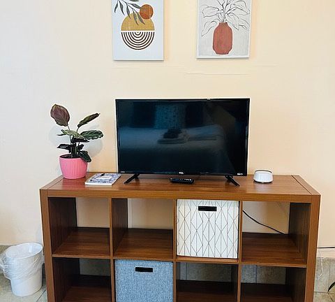 TV with Roku and storage