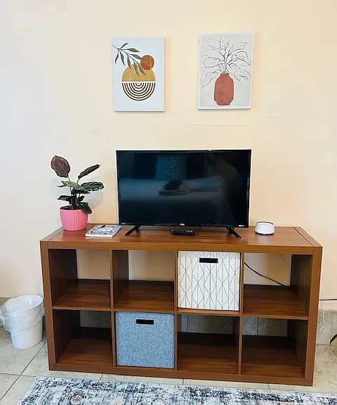 TV with Roku and storage