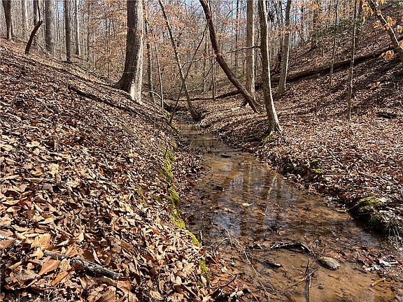 4th image of TRACT Cann Rd #A