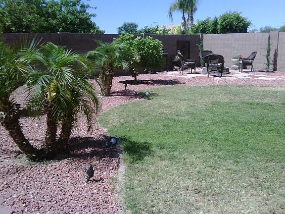 Nice famliy Backyard